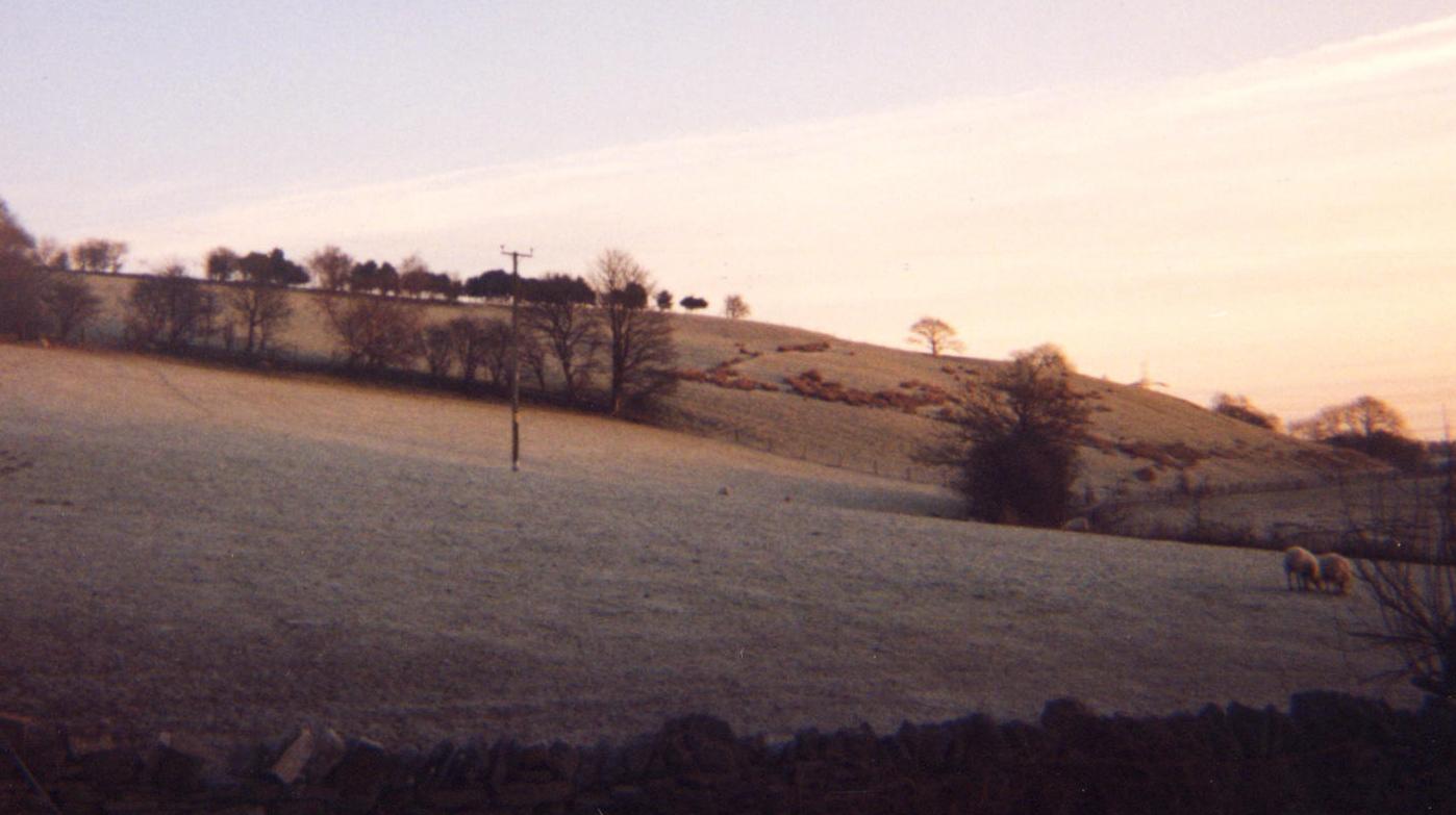 View from my bedroom window in at dawn